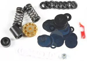 Race Tech ゴールドバルブ タイプ 1 ショックキット FMGV S3702C Race Tech Gold Valve Type 1 Shock Kit FMGV S3702C 【並行輸入品】