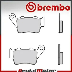 リア Brembo 07BB02SX ブレーキパッド Ktm SMC R ABS 690 2014 - 2020 用 Rear Brembo 07BB02SX Brake Pads for Ktm SMC R ABS 690 2014 - 2020 【並行輸入品】