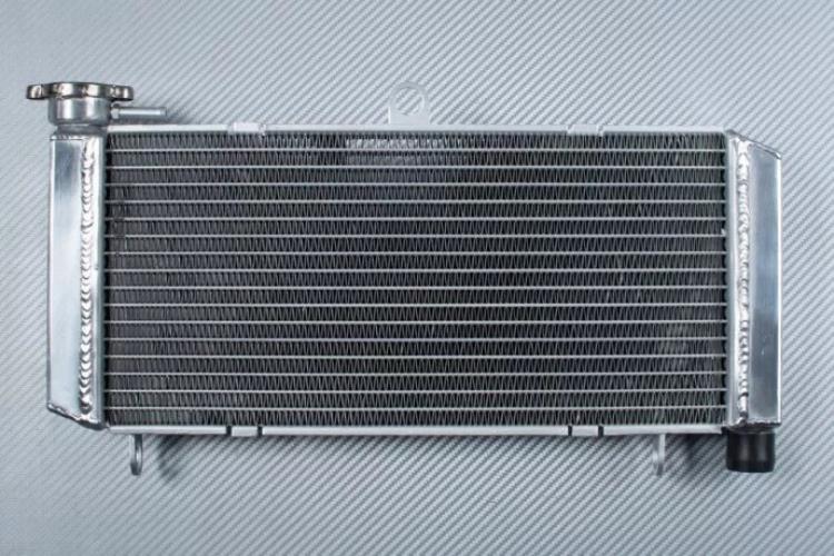 レーシングウォーターラジエーター冷却ホンダ CB600F CB ホーネット 600 PC36 2005-2006 Racing Water Radiator Cooling HONDA CB600F CB HORNET 600 PC36 2005-2006 【並行輸入品】