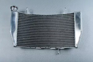 レーシング交換用水ラジエーター冷却 DUCATI SBK 1098 H7 2007-2009 Racing Replacement Water Radiator Cooling DUCATI SBK 1098 H7 2007-2009 【並行輸入品】