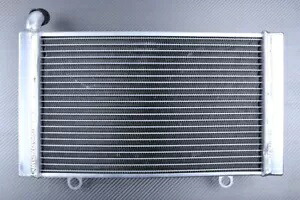 レーシングアルミ水ラジエーター冷却ホンダ CBF 1000 CBF1000 / S SC58 2006-2009 Racing Alu Water Radiator Cooling HONDA CBF 1000 CBF1000 / S SC58 2006-2009 【並行輸入品】