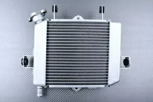 交換用水ラジエーター冷却 OEM スタイル SUZUKI GSXR 125 WDL0 2017-2022 Replacement Water Radiator Cooling OEM Style SUZUKI GSXR 125 WDL0 2017-2022 【並行輸入品】
