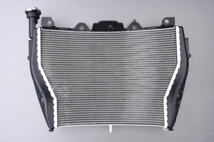 ウォーターラジエーター オリジナルタイプ BMW S1000XR S1000 XR 2015-2016 Water Radiator Originl Type BMW S1000XR S1000 XR 2015-2016 【並行輸入品】