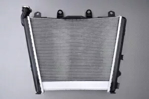 BMW純正 M1000R M1000 R 2023-2024型 ウォーターラジエーター- Genuine BMW M1000R M1000 R 2023-2024 Type Water Radiator- 【並行輸入品】