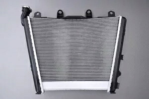 BMW 純正 S1000XR S1000 XR タイプ ウォーターラジエーター 2020-2023- Genuine BMW S1000XR S1000 XR Type Water Radiator 2020-2023- 【並行輸入品】