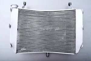 交換用水ラジエーター冷却 SUZUKI GSXS 1000F 2016-2021 Replacement Water Radiator Cooling SUZUKI GSXS 1000F 2016-2021 【並行輸入品】