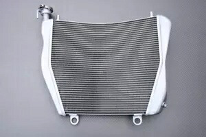 交換用水ラジエーター冷却 DUCATI PANIGALE V4 / S / SP / R 2018-2021 Replacement Water Radiator Cooling DUCATI PANIGALE V4 / S / SP / R 2018-2021 【並行輸入品】