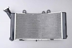 ウォーターラジエター 純正タイプ BMW F900 GS / F 900GS / F 900 GS 2024-X- Water radiator original type BMW F900 GS / F 900GS / F 900 GS 2024-X- 【並行輸入品】