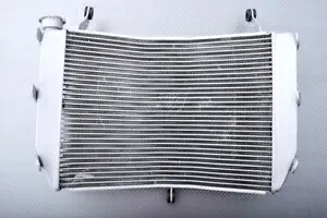 交換用水ラジエーター冷却 SUZUKI GSXS 1000 F GSX-S WDG0 2016-2021 Replacement Water Radiator Cooling SUZUKI GSXS 1000 F GSX-S WDG0 2016-2021 【並行輸入品】