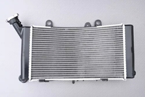 ウォーターラジエター 純正タイプ BMW F900 GSA / F 900GSA ADVENTURE 2024-X Water Radiator Originl Type BMW F900 GSA / F 900GSA ADVENTURE 2024-X 【並行輸入品】
