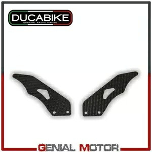 カーボン ガード パッセンジャー RPPC07 Ducabike Ducati ハイパーモタード 1100 2007 - 2009 Carbon Guards Passenger RPPC07 Ducabike Ducati Hypermotard 1100 2007 - 2009 【並行輸入品】