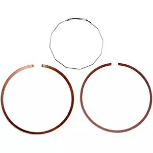 ProX ピストン リング ProX ピストン専用 02.2020.025 ProX Piston Rings For ProX Pistons Only 02.2020.025 【並行輸入品】
