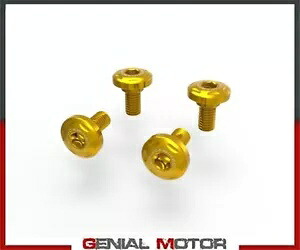 スイングゴールド DUCABIKE ドゥカティ DesertX 2022-用 ネジセット Screw set for swing gold DUCABIKE Ducati DesertX 2022- 【並行輸入品】