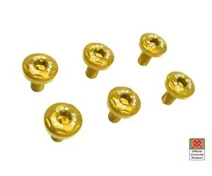 フロントフェンダー用ネジセット ゴールド DBK Moto Moeni X Cape 650 2021 2024- Screw set for front fenders gold DBK Moto Morini X Cape 650 2021 2024- 【並行輸入品】