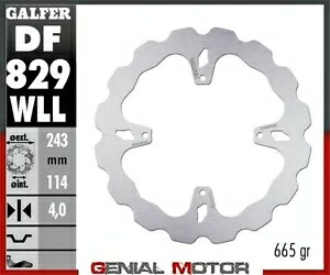 Galfer リア ブレーキ ディスク ウェーブ フィックス ソリッド 243x4mm TM EN144 2014-2014 Galfer Rear Brake Disc WAVE FIXED SOLID 243x4mm TM EN144 2014-2014 【並行輸入品】