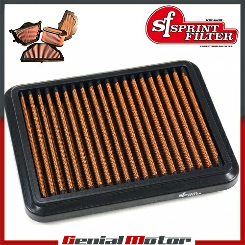 エアフィルター P08 SprintFilter PM160S ドゥカティ パニガーレ V4 スペチアーレ 1100 2018 - 2019 Air Filter P08 SprintFilter PM160S Ducati Panigale V4 Speciale 1100 2018 - 2019 【並行輸入品】