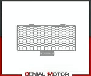 シルバーウォータークーラープロテクション DUCABIKE Ducati StreetFighter V2 2022- Silver water cooler protection DUCABIKE Ducati StreetFighter V2 2022- 【並行輸入品】