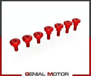 レッドトリムフレーム用ネジセット DUCABIKE Ducati DesertX 2022- Screw set for red trim frame DUCABIKE Ducati DesertX 2022- 【並行輸入品】