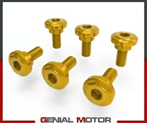 スクリューセットフェンダー フロント DUCABIKE GOLD Ducati MULTISTRADA V4/S 2021 - 2022- Screw set fenders front DUCABIKE GOLD Ducati MULTISTRADA V4/S 2021 - 2022- 【並行輸入品】