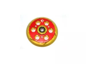 クラッチ プレッシャー プレート エア システム ゴールド-R Ducabike Ducati Monster 1100 2009 - 2010 Clutch Pressure Plate Air System Gold-R Ducabike Ducati Monster 1100 2009 - 2010 【並行輸入品】