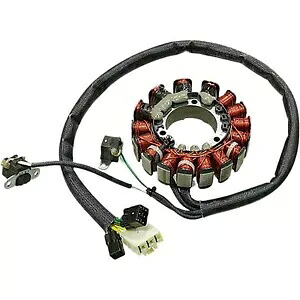 SPI Sports Parts Inc ステーター アセンブリ SM-01356 SPI Sports Parts Inc Stator Assembly SM-01356 【並行輸入品】 53,460円