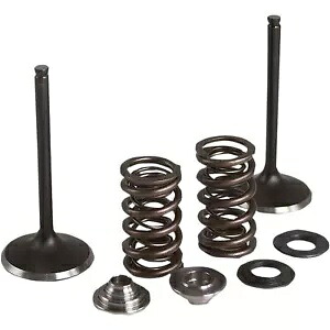 KPMI インテークバルブ/スプリングキット ステンレススチール ヤマハ用 80-82350 KPMI Intake Valve/Spring Kit Stainless Steel for Yamaha 80-82350 【並行輸入品】