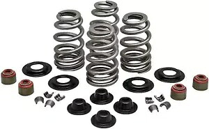 KPMI スプリングキット .610 リフト HD TC 20-21400 KPMI SPRING KIT .610 LIFT HD TC 20-21400 【並行輸入品】