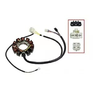SPI Sports Parts Inc ステーター Arctic Cat スノーモービル 2014-2024 SM-01375 SPI Sports Parts Inc Stator for Arctic Cat Snowmobiles 2014-2024 SM-01375 【並行輸入品】