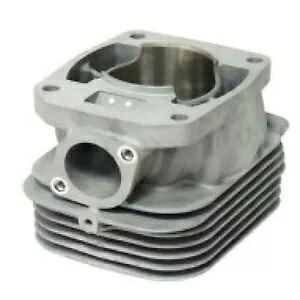 SPI Sports Parts Inc ポラリス スノーモービル用シリンダー 1999-2021 SM-09605 SPI Sports Parts Inc Cylinder for Polaris Snowmobiles 1999-2021 SM-09605 【並行輸入品】