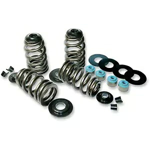 Feuling バルブ スプリング - Econo Beehive 1120 Feuling Valve Springs - Econo Beehive 1120 【並行輸入品】