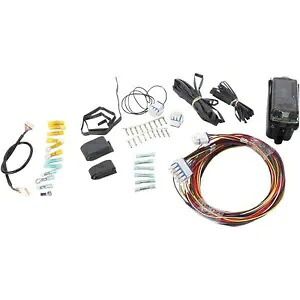 Thunder 製品コントローラー ハーネス付き EA4250D-C Thunder Product Controller with Harness EA4250D-C 【並行輸入品】