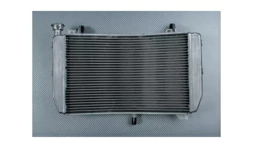 交換用ラジエーター ウォーター クーラー OEM スタイル ヤマハ YZF R1 YZF-R1 2015-2019 Replacement Radiator Water Cooler OEM Style YAMAHA YZF R1 YZF-R1 2015-2019 【並行輸入品】