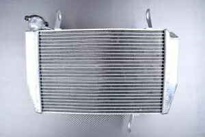 レーシングアルミ水ラジエーター冷却 DUCATI ハイパーモタード HM 939 BA 2016-2018 Racing Aluminium Water Radiator Cooling DUCATI Hypermotard HM 939 BA 2016-2018 【並行輸入品】