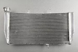 レーシング交換用水ラジエーター冷却ホンダ CBR 954 RR 954RR SC50 2002-2003 Racing Replacement Water Radiator Cooling HONDA CBR 954 RR 954RR SC50 2002-2003 【並行輸入品】