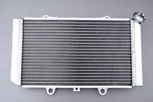 強化レーシングウォーターラジエター ヤマハ YFM660F グリズリー/ハンター 2002-2008 Reinforced Racing Water Radiator YAMAHA YFM660F GRIZZLY/ HUNTER 2002-2008 【並行輸入品】 51,480円
