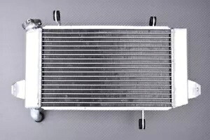 強化レーシングウォーターラジエーター冷却 SUZUKI LTZ QUADSPORT 400 2009-2018 Reinforced Racing Water Radiator Cooling SUZUKI LTZ QUADSPORT 400 2009-2018 【並行輸入品】