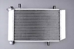 強化レーシングウォーターラジエーター冷却 ARCTIC CAT DVX 400 2004-2008 Reinforced Racing Water Radiator Cooling ARCTIC CAT DVX 400 2004-2008 【並行輸入品】