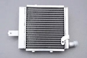 左レーシング交換用水ラジエーター冷却 BENELLI TNT 899 / S 2008-2011 Left Racing Replacement Water Radiator Cooling BENELLI TNT 899 / S 2008-2011 【並行輸入品】 52,800円