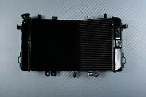 交換用水ラジエーター冷却 SUZUKI B-KING 1340 GSX BKING WVCR 2007-2014 Replacement Water Radiator Cooling SUZUKI B-KING 1340 GSX BKING WVCR 2007-2014 【並行輸入品】 53,460円