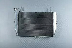 レーシングアルミ水ラジエーター冷却スズキ GSXS 1000 F GSX-S WDG0 2016-2021 Racing Aluminium Water Radiator Cooling SUZUKI GSXS 1000 F GSX-S WDG0 2016-2021 【並行輸入品】
