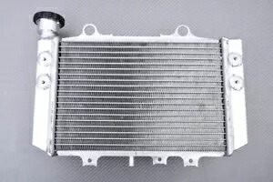 ウォータークーラー ラジエーター レーシング アルミ製 BMW G310GS 310GS G310 GS 2016-2020- Water cooler radiator racing made of aluminum BMW G310GS 310GS G310 GS 2016-2020- 【並行輸入品】
