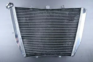 レーシング交換用水ラジエーター冷却 SUZUKI GSX-R 1000 GSXR WVCY 2009-2011 Racing Replacement Water Radiator Cooling SUZUKI GSX-R 1000 GSXR WVCY 2009-2011 【並行輸入品】
