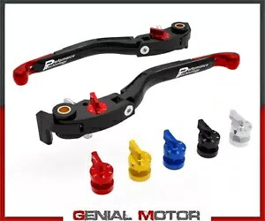 Adj ブレーキ/クラッチレバー Eco GP2 DUCABIKE ブラックシルバー Ducati SUPSP 950 2021 2022 Adj Brake/Clutch Levers Eco Gp2 DUCABIKE BLACK-SILVER Ducati SUPSP 950 2021 2022 【並行輸入品】｜カスタムパーツ WORLD倉庫