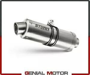 Exhaust Storm by Mivv マフラー オーバル スチール ヤマハ Fzs 1000 Fazer 2001 - 2005用 Exhaust Storm by Mivv Muffler Oval Steel for Yamaha Fzs 1000 Fazer 2001 - 2005 【並行輸入品】