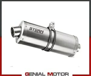 Exhaust Storm by Mivv マフラー オーバル スチール BMW R 1150 R 2000 - 2006用 Exhaust Storm by Mivv Muffler Oval Steel for Bmw R 1150 R 2000 - 2006 【並行輸入品】