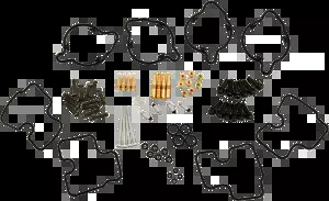 Parts Unlimited キャブレター修理キット #1003-1322 Parts Unlimited Carburetor Repair Kits #1003-1322 【並行輸入品】