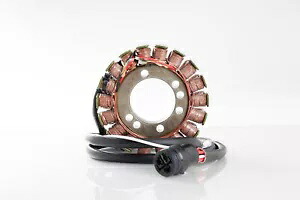 リックのモータースポーツ ステーター #21-216 Rick's Motorsport Stator #21-216 【並行輸入品】