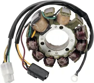 リックのモータースポーツ ステーター 24-002 Rick's Motorsport Stator 24-002 【並行輸入品】