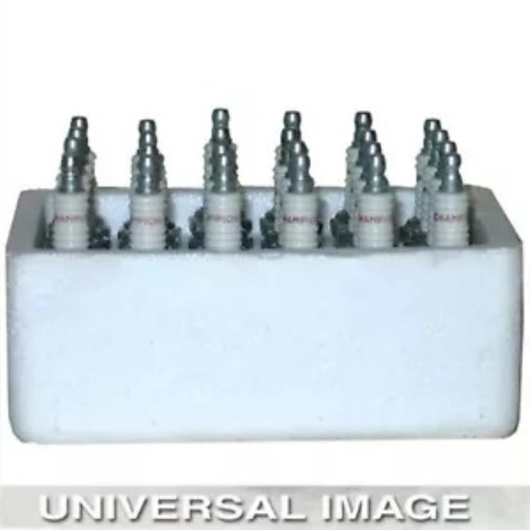 Champion スパーク プラグ ショップ パック - RJ19LMSP - 24/パック 868S Champion Spark Plug Shop Pack - RJ19LMSP - 24/Pack 868S 【並行輸入品】