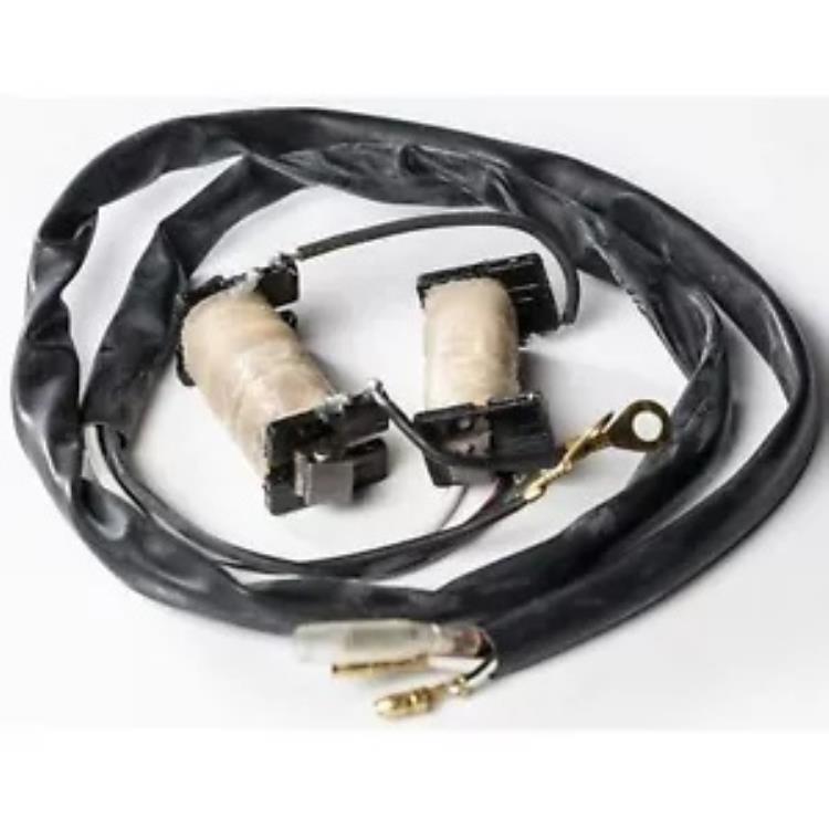 リックス ステーター キット 22-780 Ricks Stator Kit 22-780 【並行輸入品】